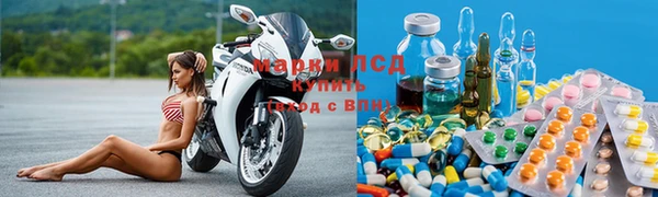 прущие грибы Беломорск