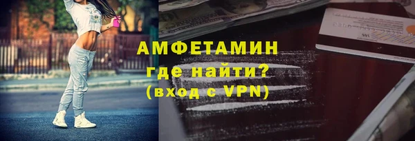 прущие грибы Беломорск