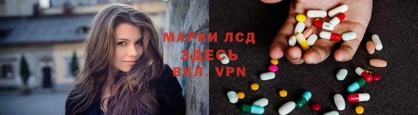 прущие грибы Беломорск