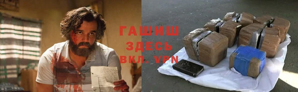прущие грибы Беломорск
