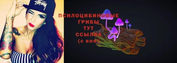 прущие грибы Беломорск