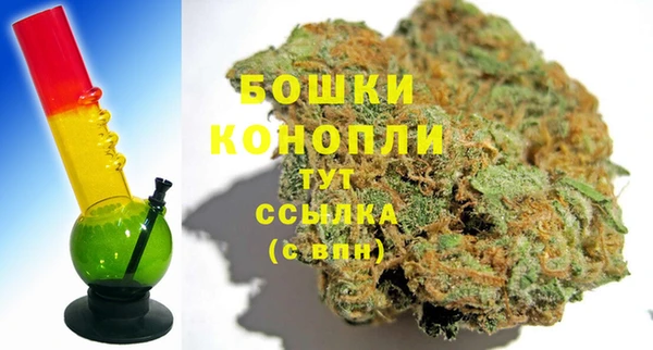 прущие грибы Беломорск