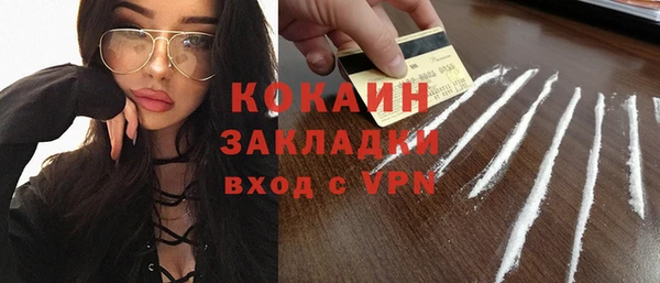 прущие грибы Беломорск