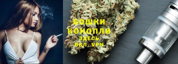 прущие грибы Беломорск