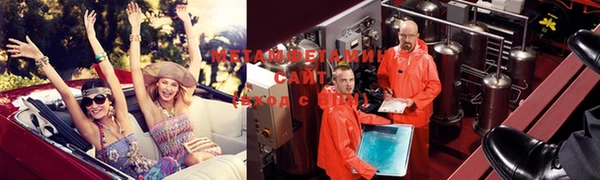 прущие грибы Беломорск