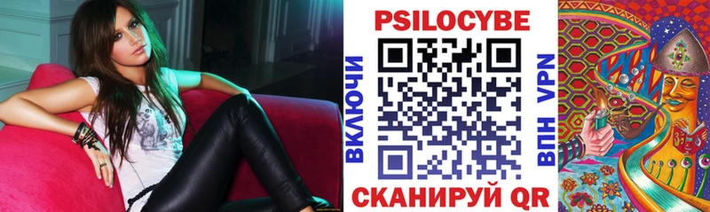 Псилоцибиновые грибы Psilocybe  Судогда 